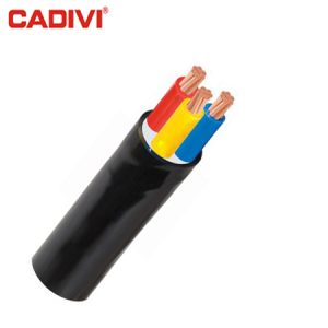 Cáp điện CVV 300/500V