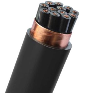 Cáp điều khiển chống nhiễu Cadivi DVV/Sc